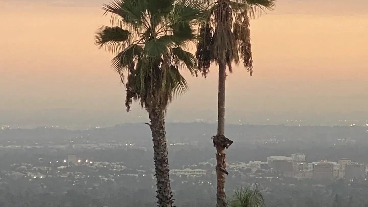 Photo of Others in Altadena