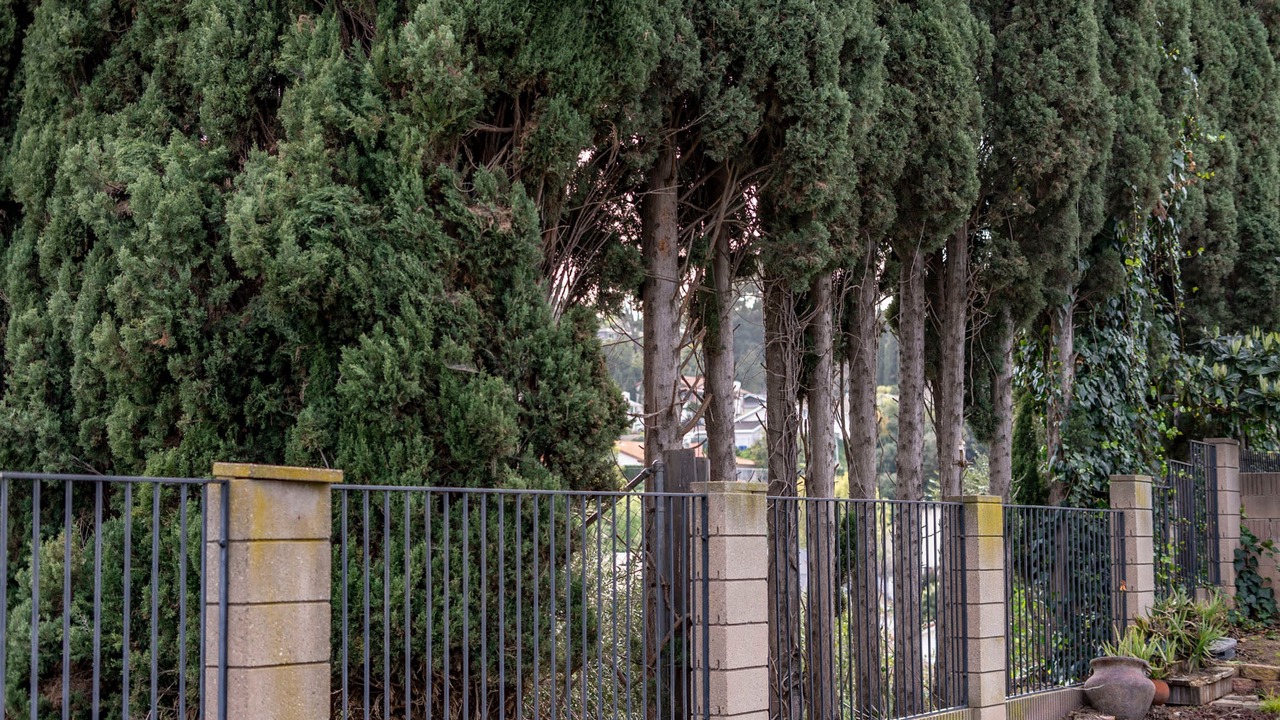 Photo of Others in Rowland Heights