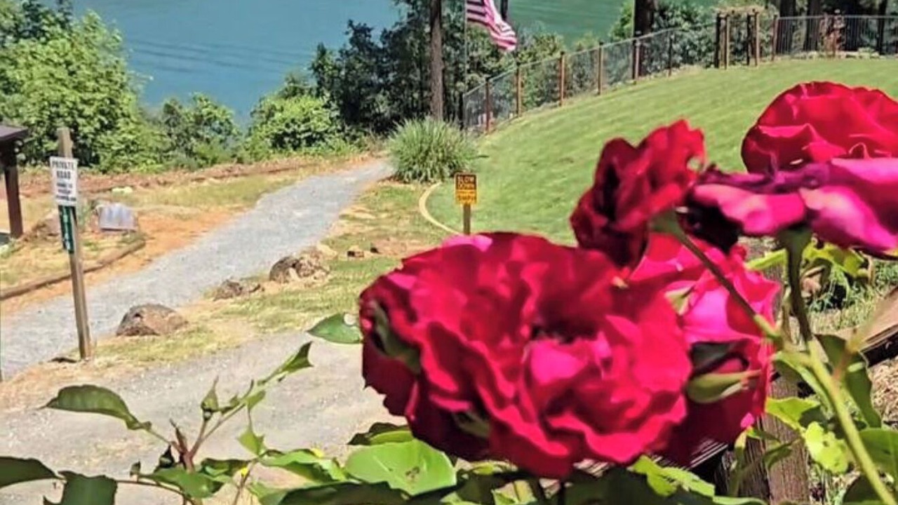 Photo of Outdoor in Cedar Ridge