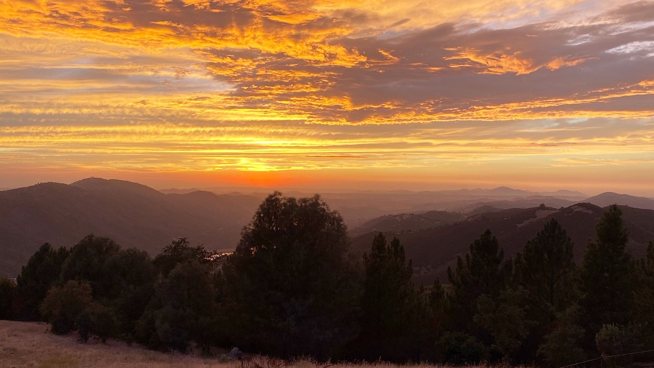 Photo of Outdoor in Groveland