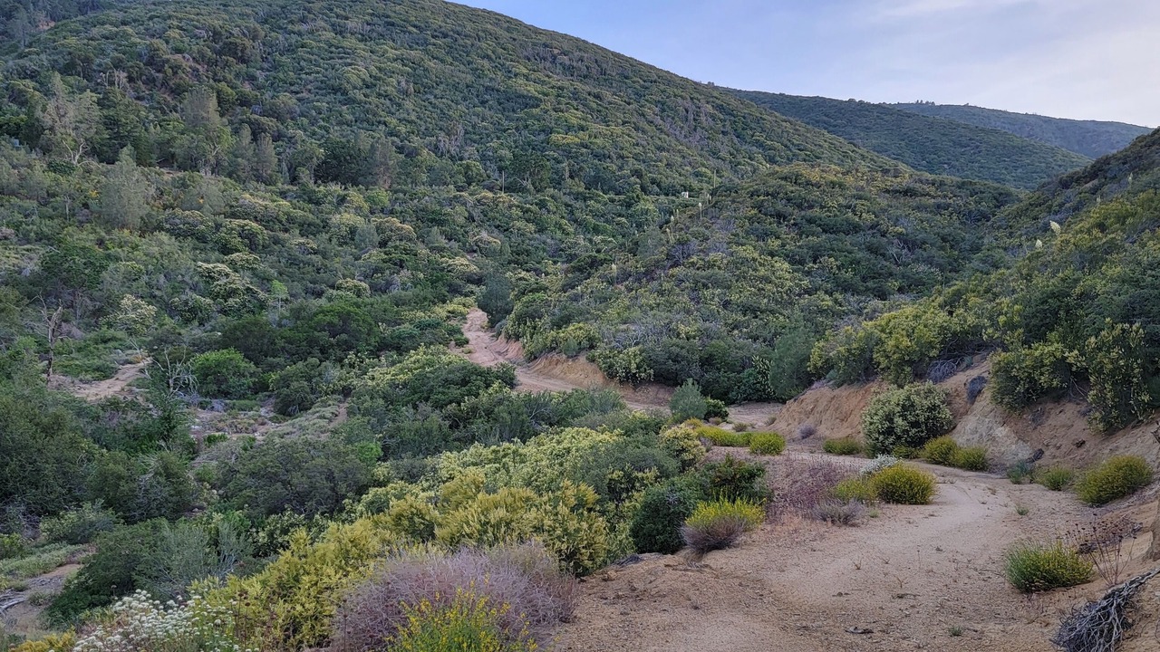 Photo of Others in Lake Hughes