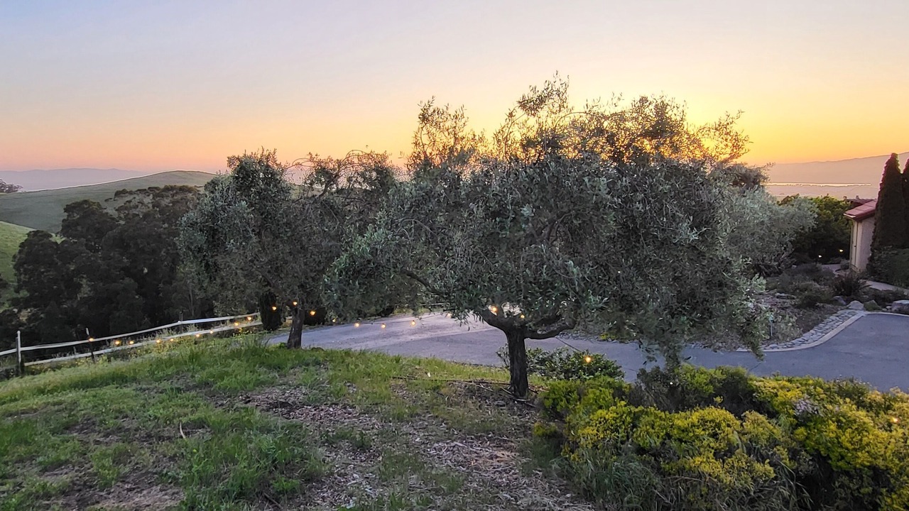 Photo of Outdoor in American Canyon