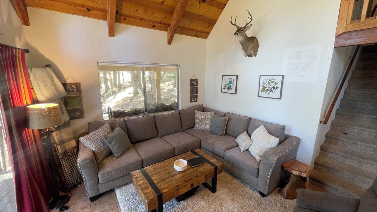Photo of Livingroom in Glencoe