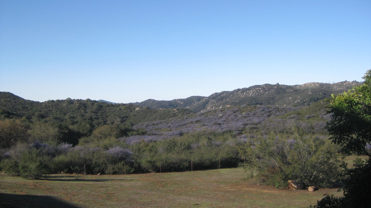 Photo of Outdoor in North Ridge