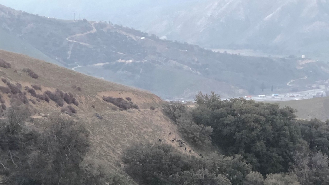 Photo of Others in Frazier Park