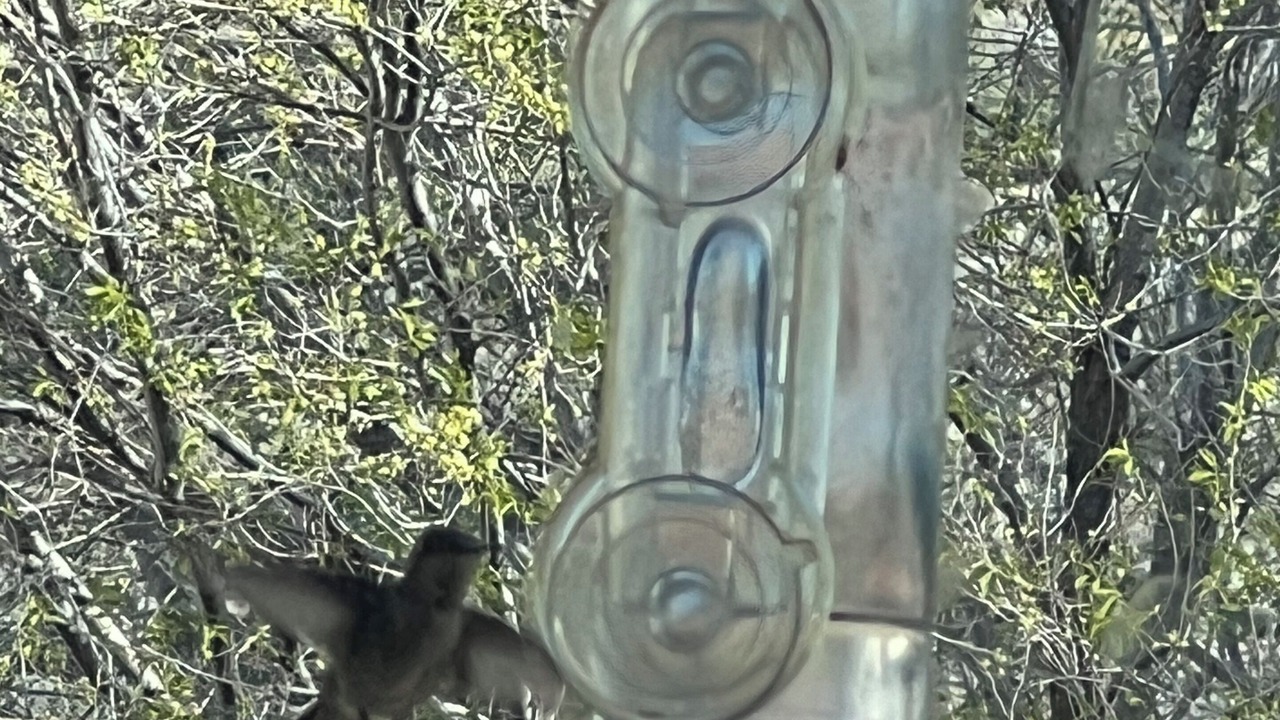 Photo of Others in Frazier Park