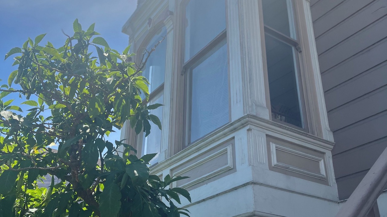 Photo of Outdoor in Mission District