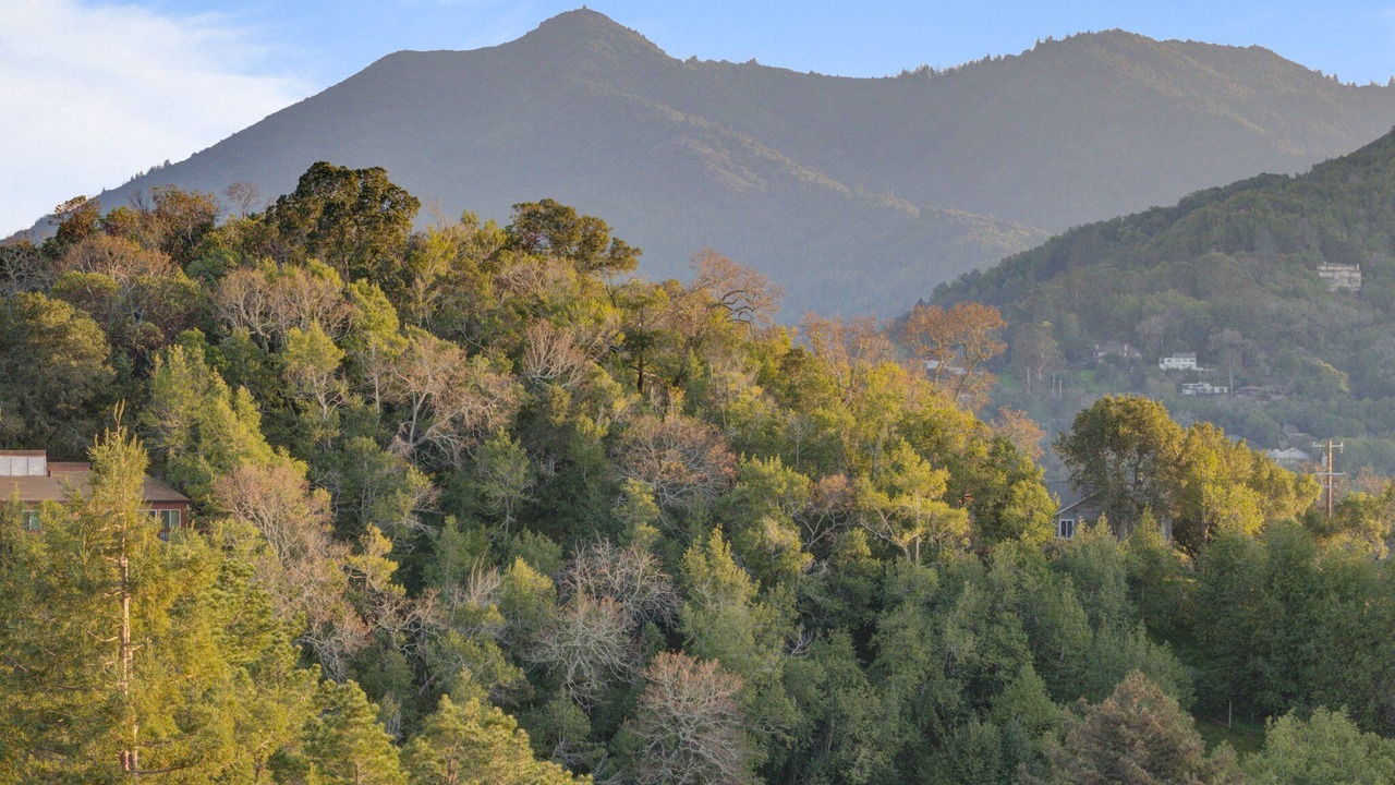 Photo of Others in San Anselmo