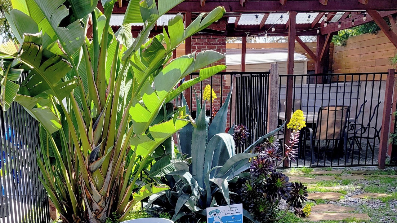 Photo of Outdoor in Valley Village