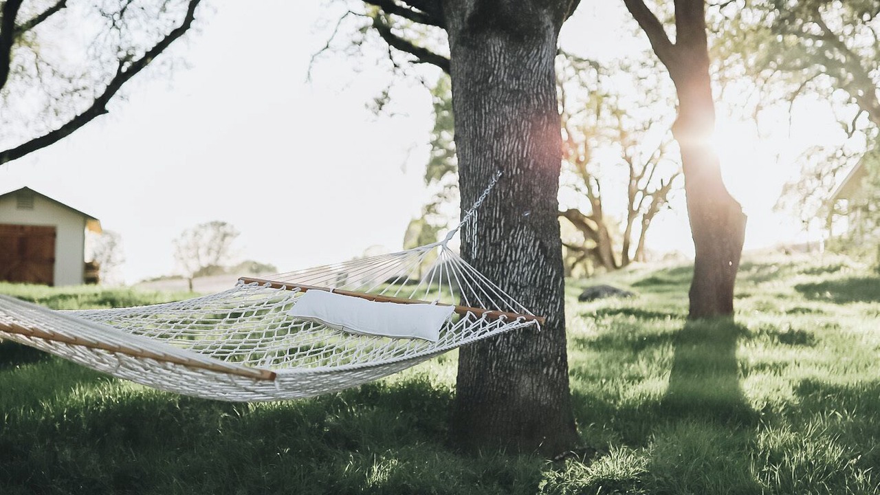 Photo of Outdoor in Cool