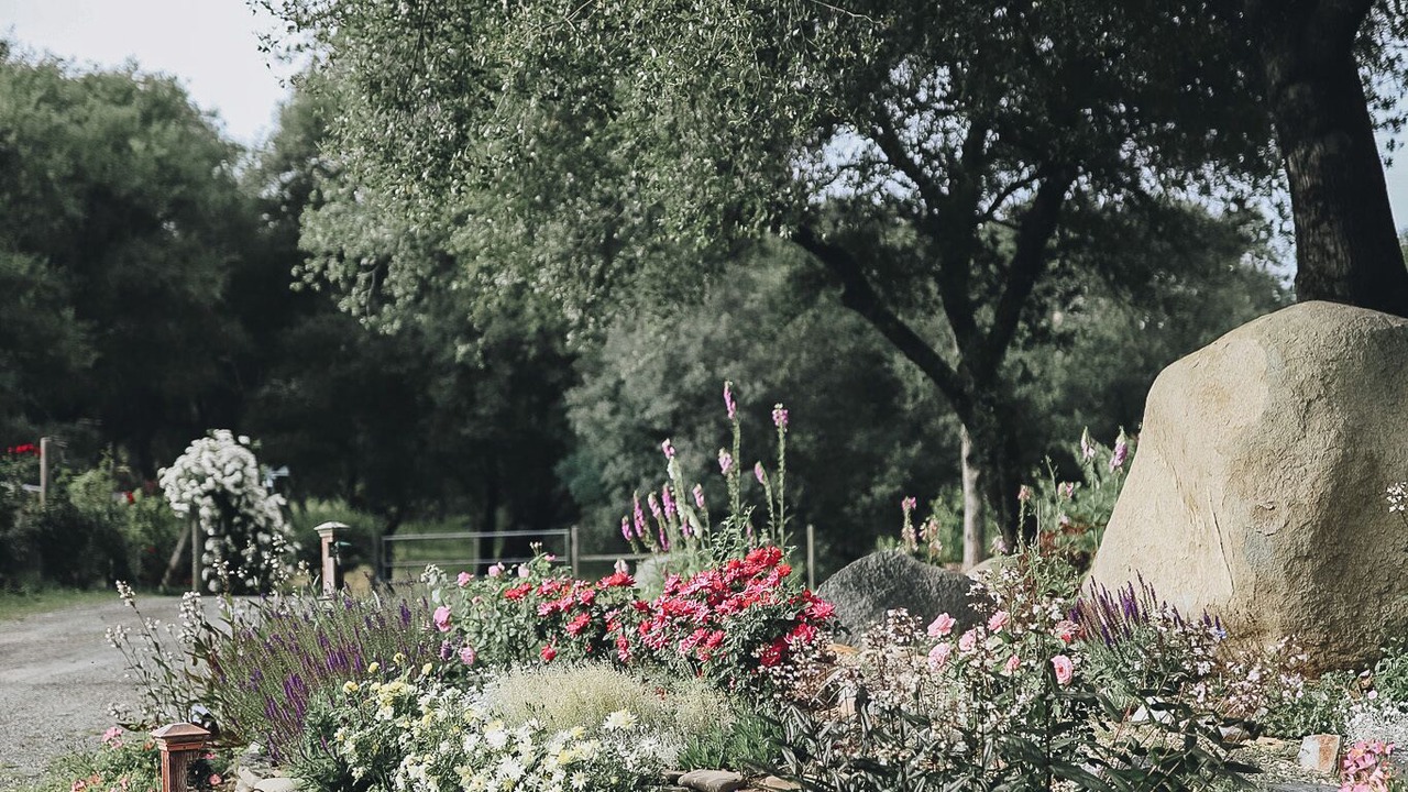 Photo of Outdoor in Cool