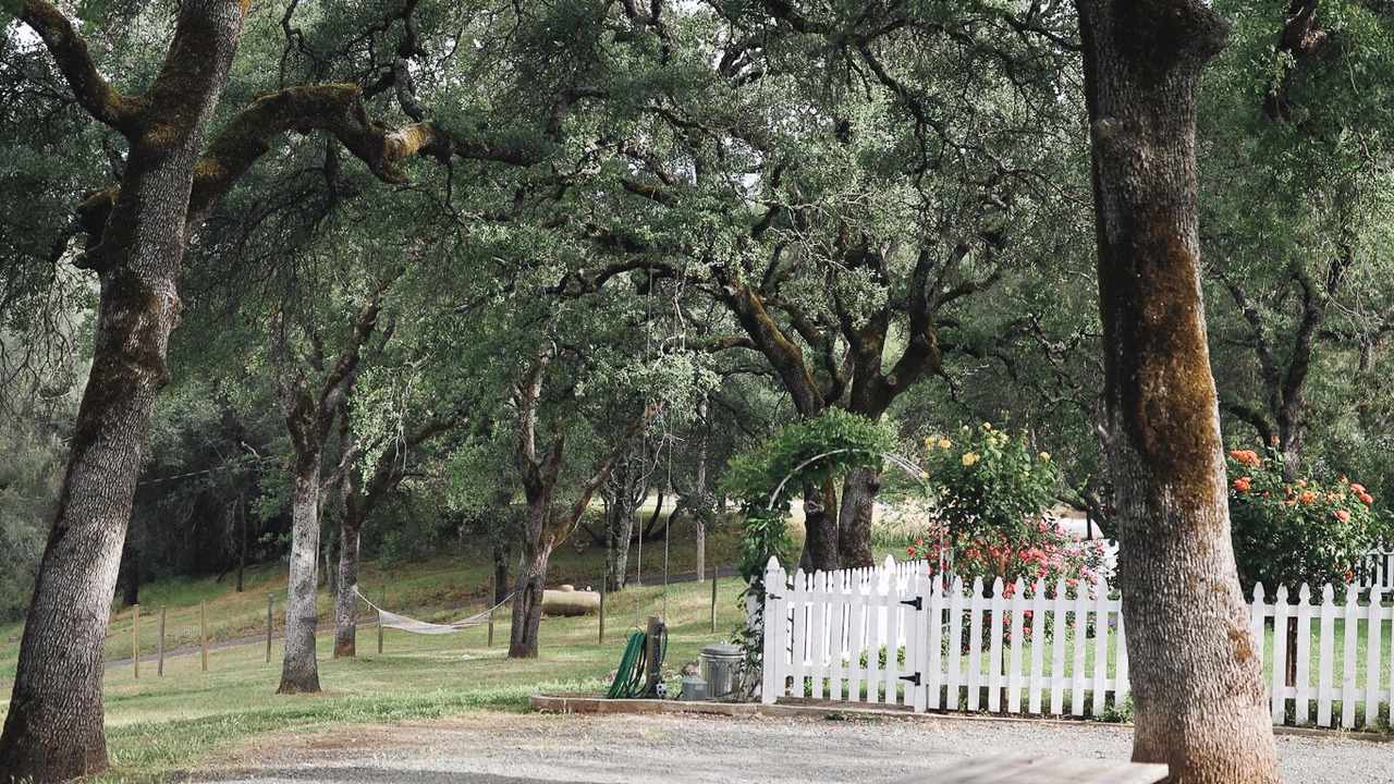 Photo of Outdoor in Cool