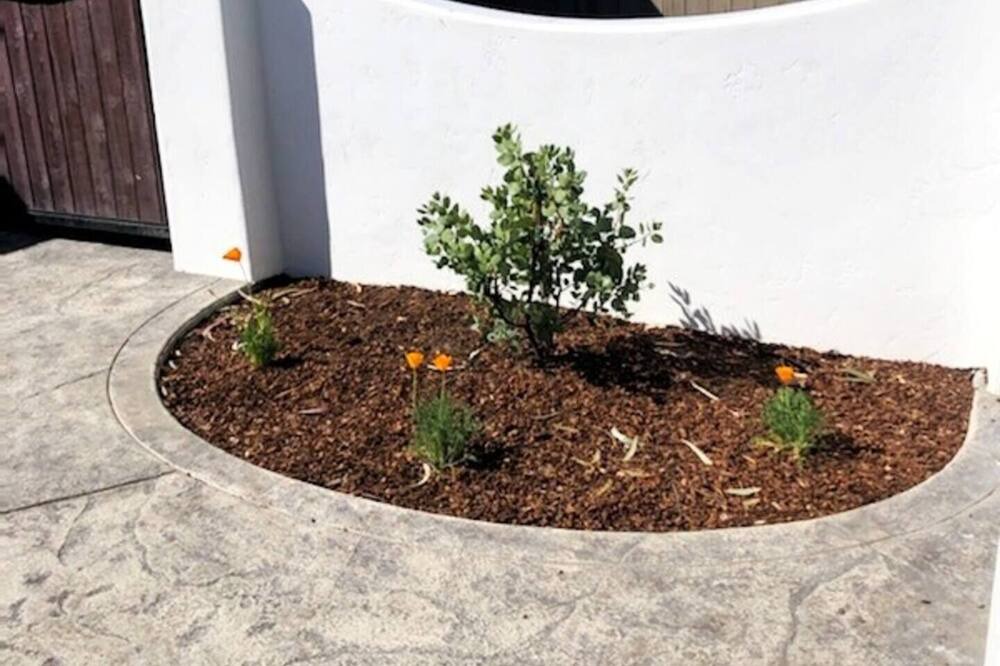 Photo of Outdoor in Seaside