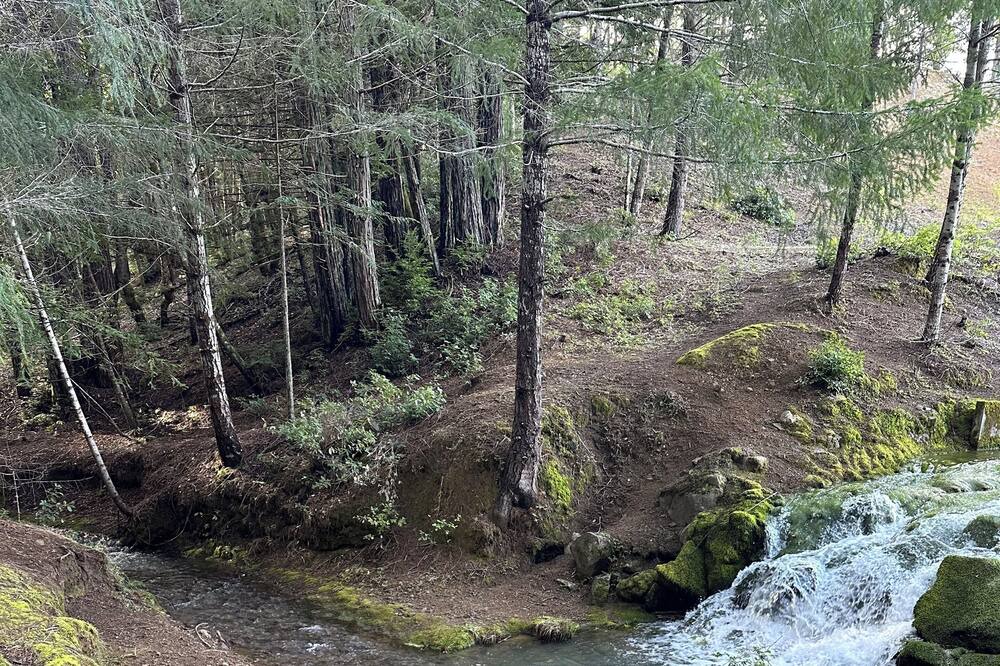 Photo of Others in Willits