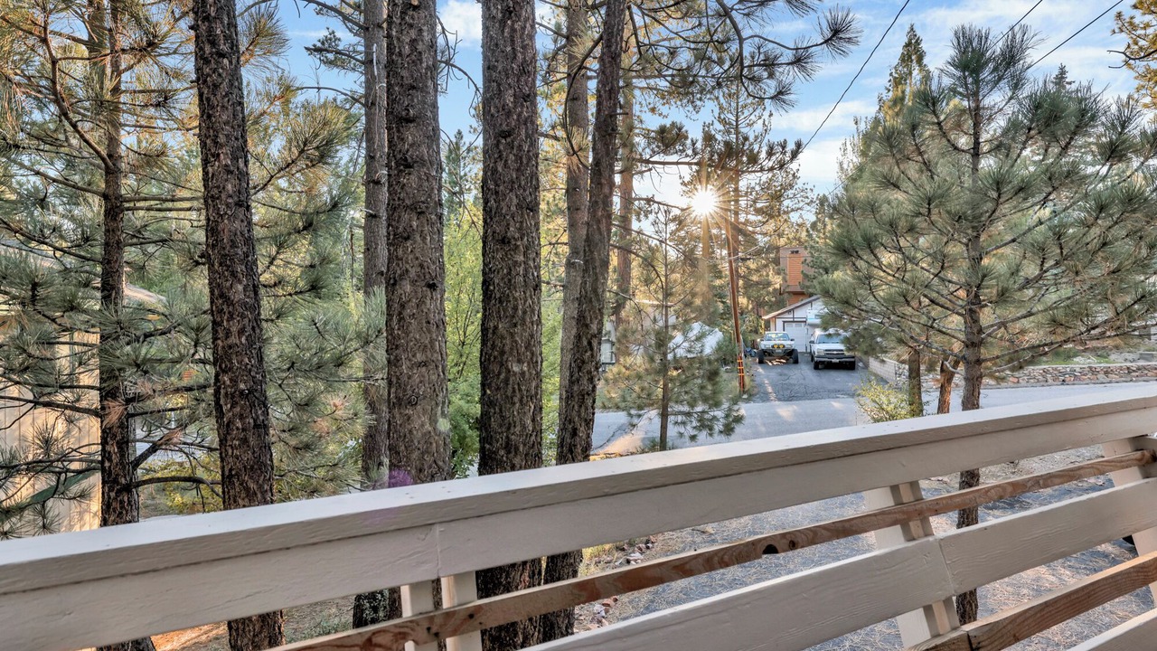 Photo of Outdoor in Fox Farm