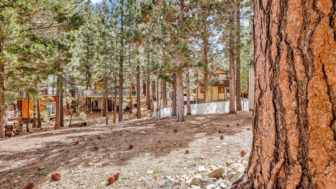 Photo of Outdoor in Big Bear