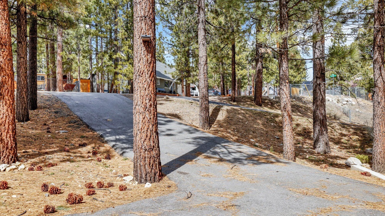 Photo of Outdoor in Big Bear