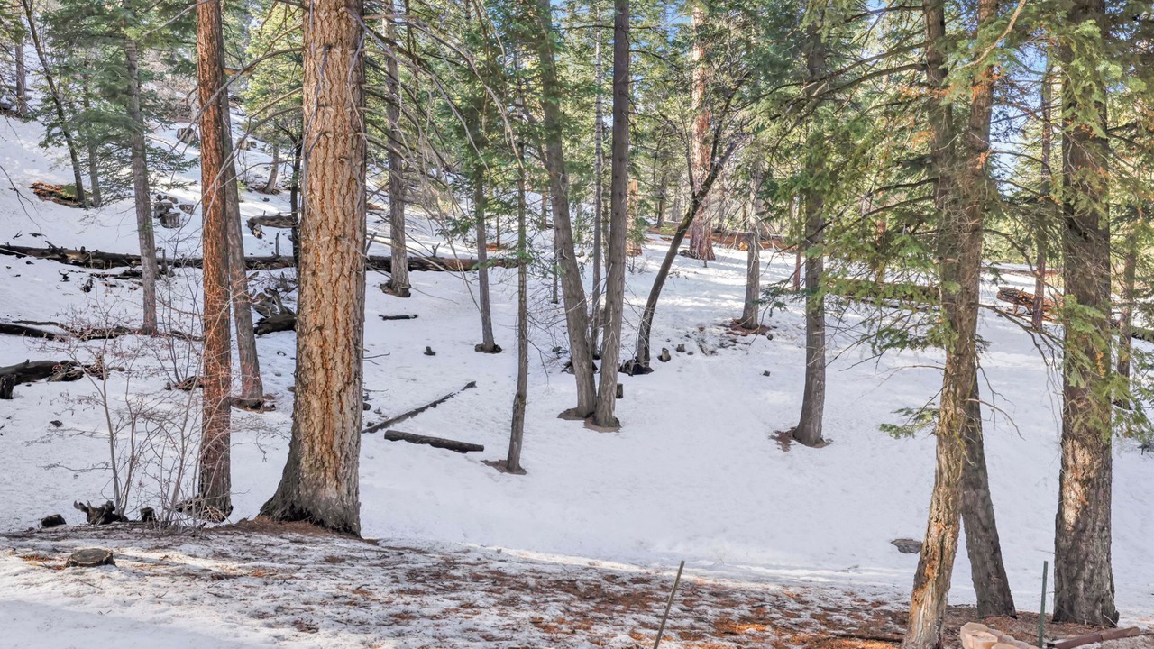 Photo of Outdoor in Big Bear Lake