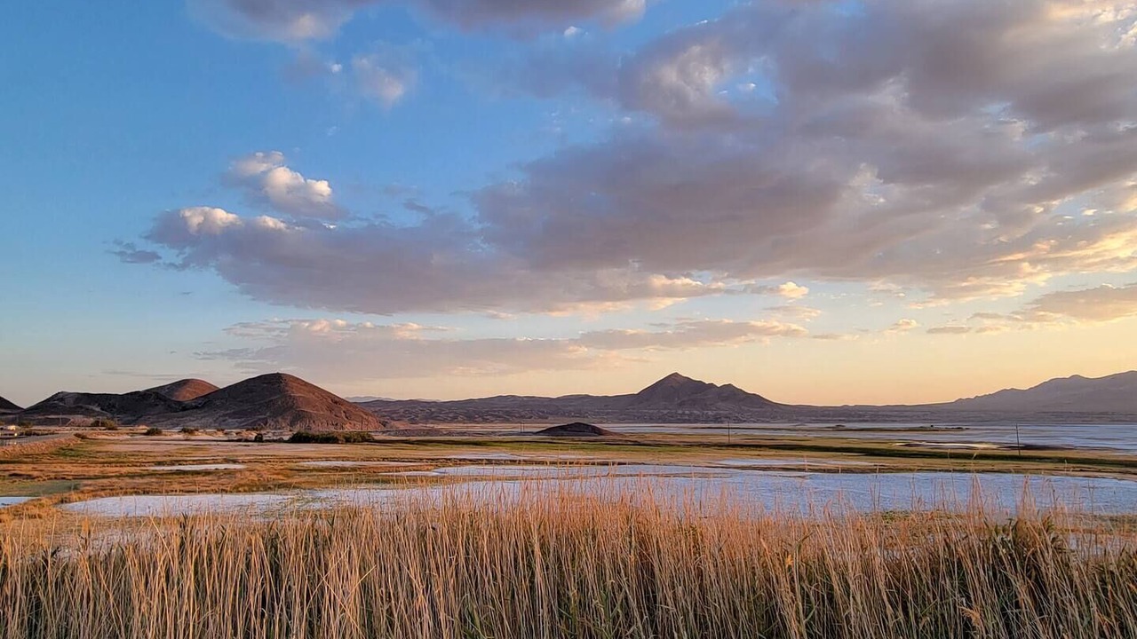 Photo of Others in Tecopa