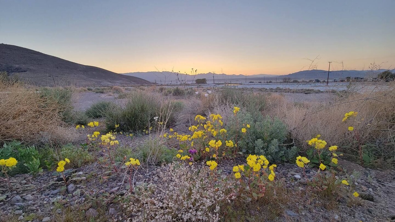 Photo of Outdoor in Tecopa