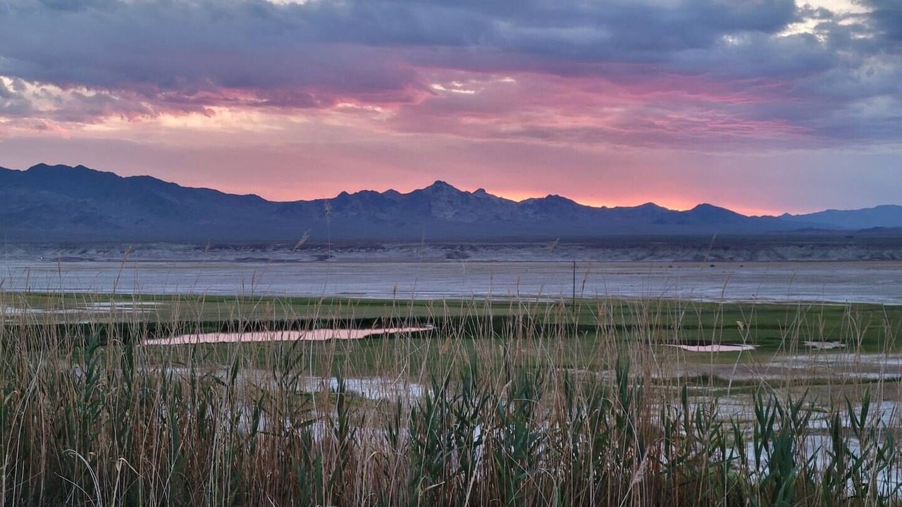 Photo of Others in Tecopa
