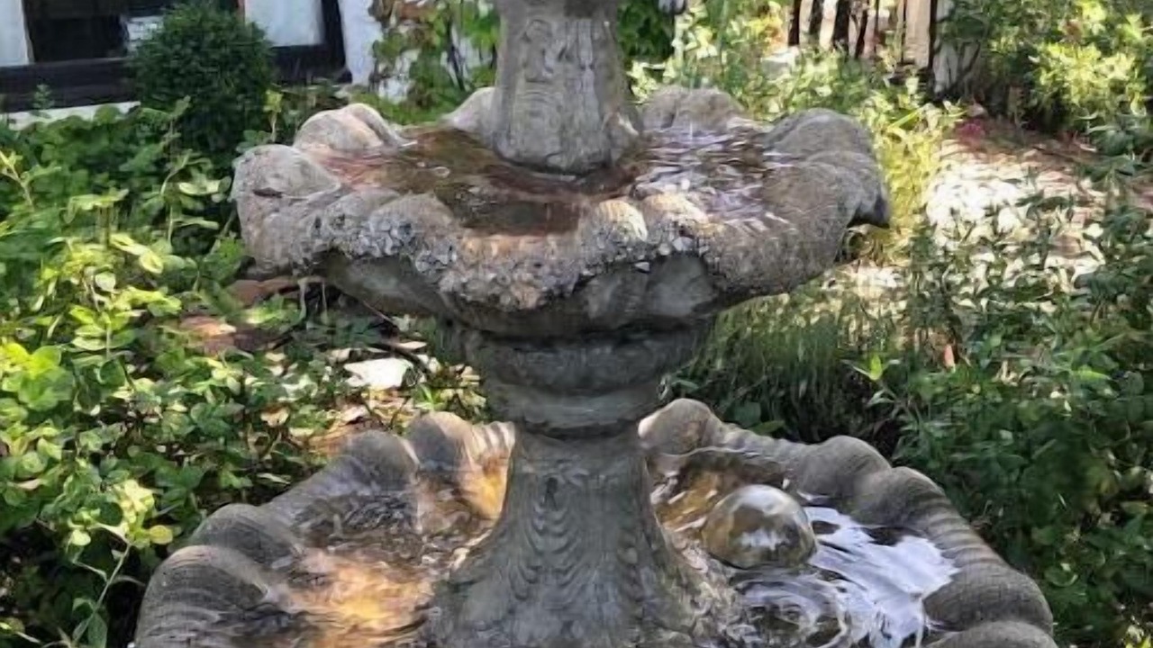 Photo of Outdoor in Bonita