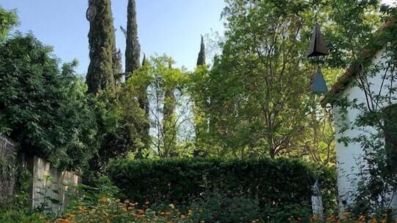Photo of Outdoor in Bonita