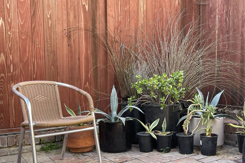 Photo of Outdoor in Sand Section