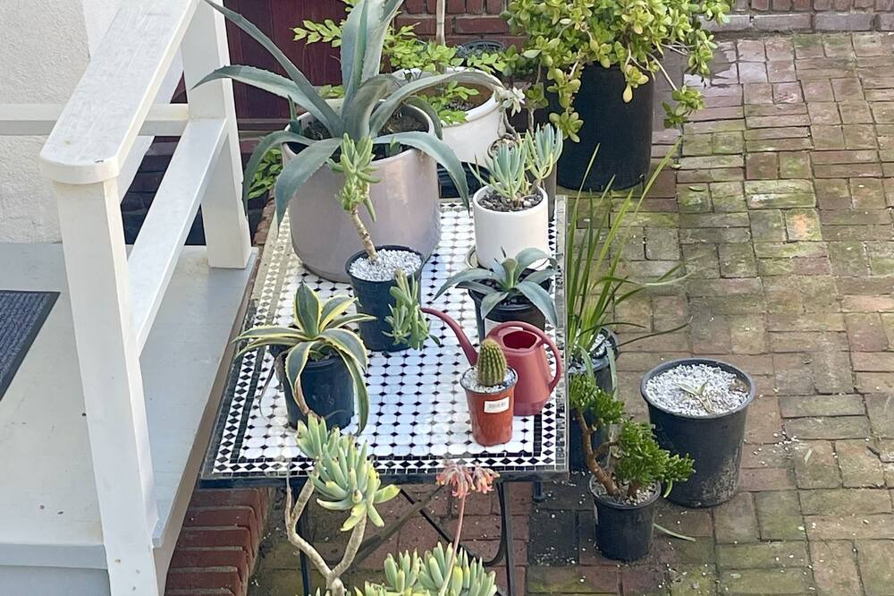 Photo of Outdoor in Sand Section