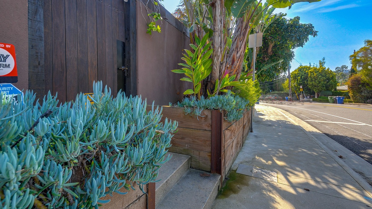 Photo of Outdoor in Santa Monica Canyon