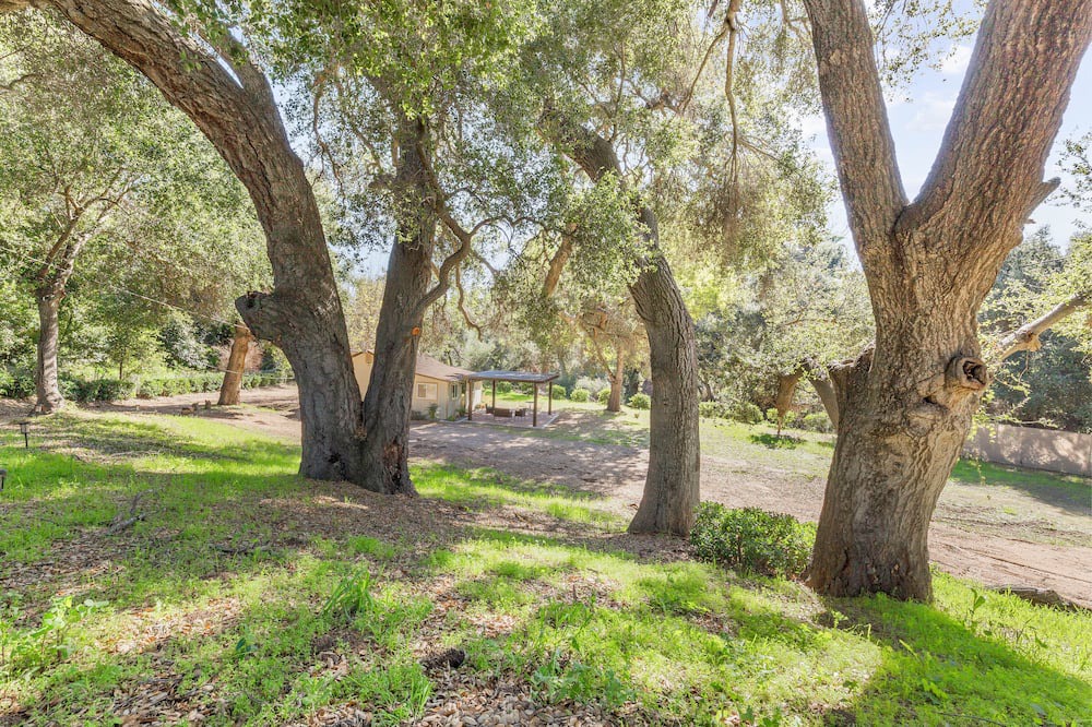 Photo of Outdoor in Fallbrook