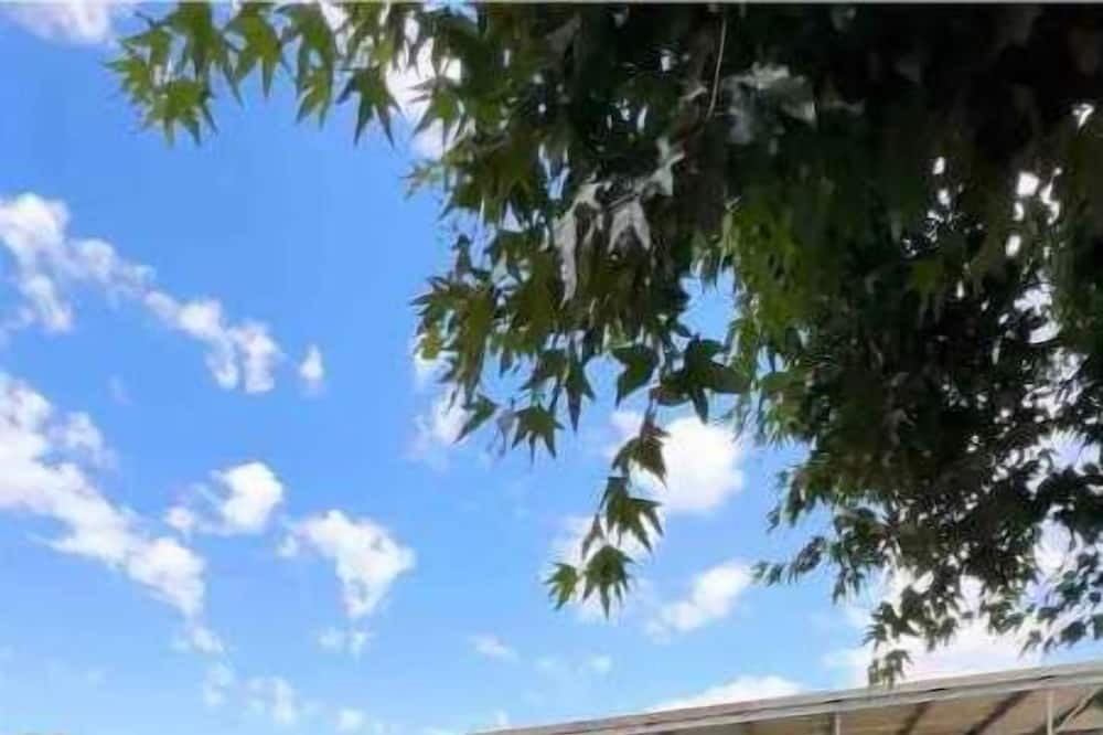 Photo of Outdoor in Sanger