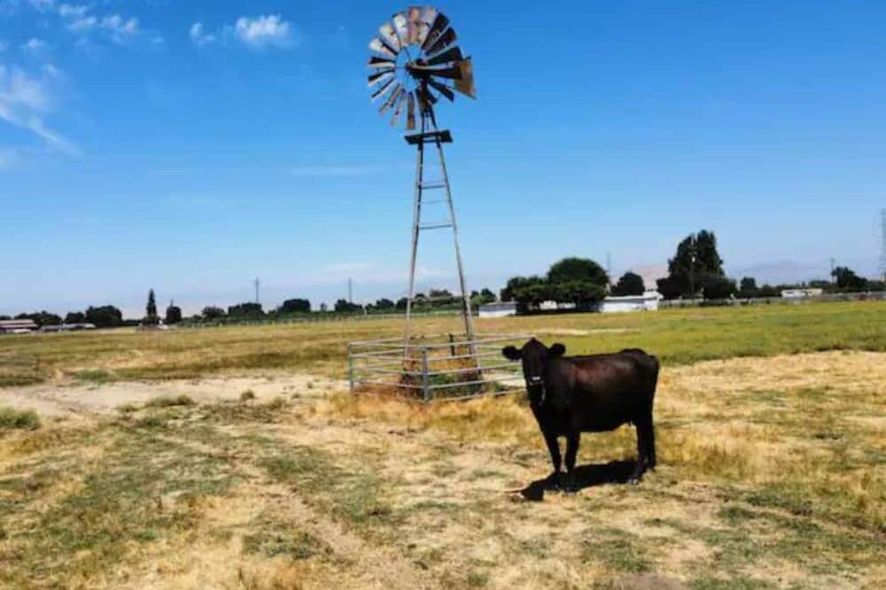 Photo of Others in Sanger