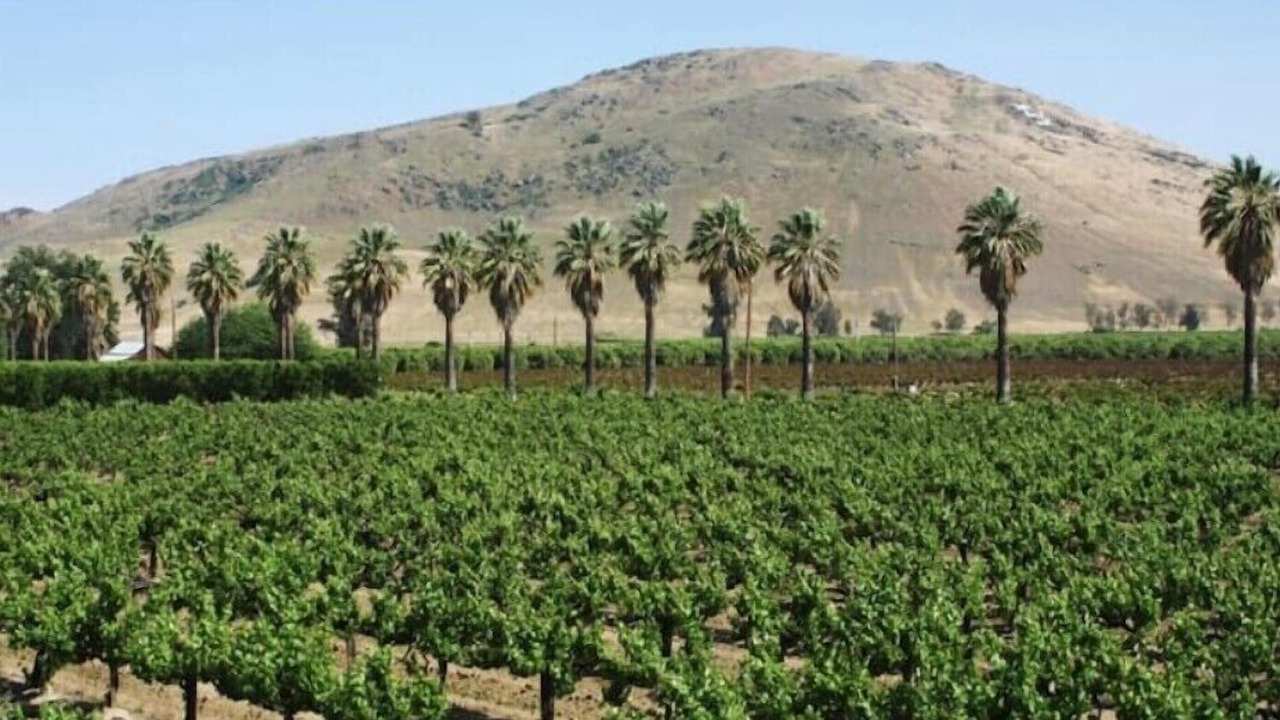 Photo of Others in Sanger