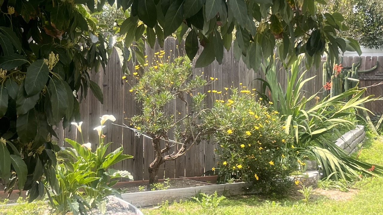 Photo of Outdoor in Sunland