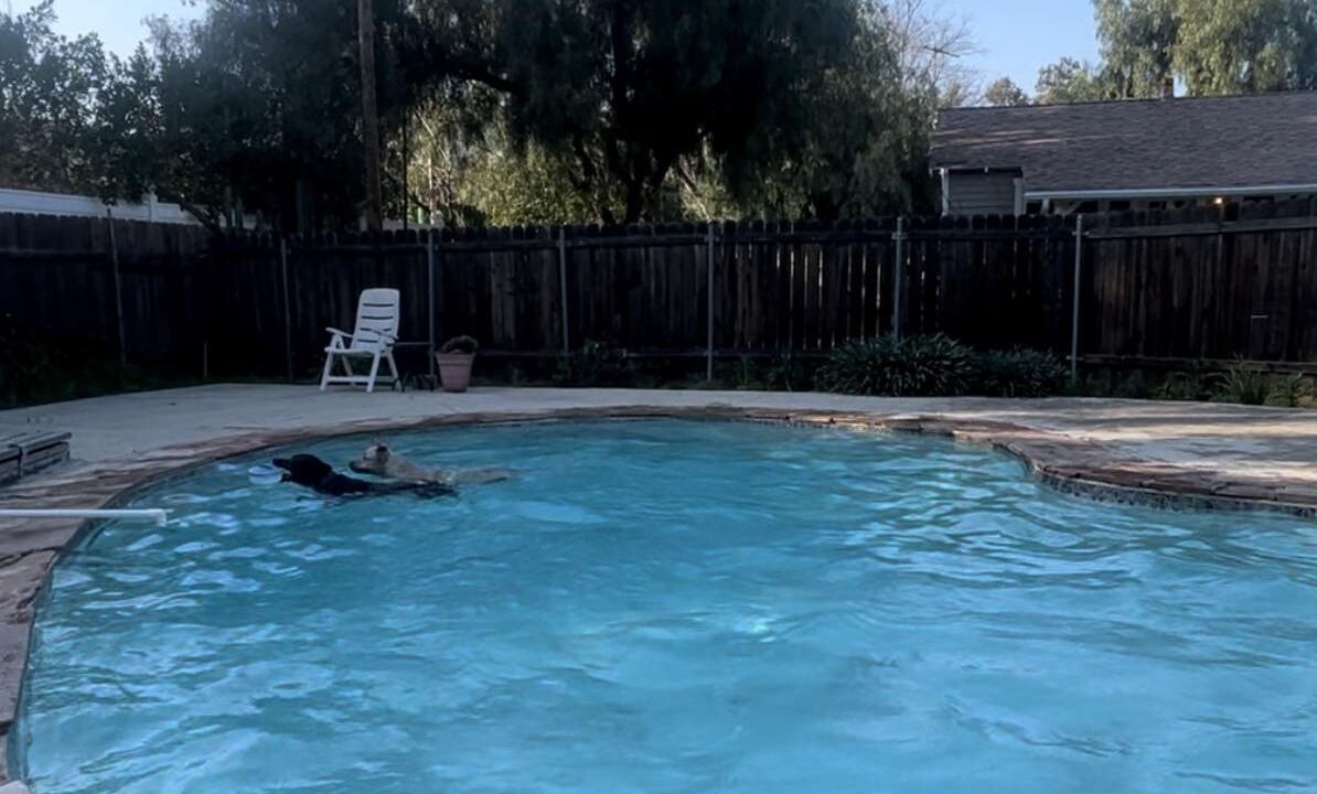 Photo of Others in Sunland