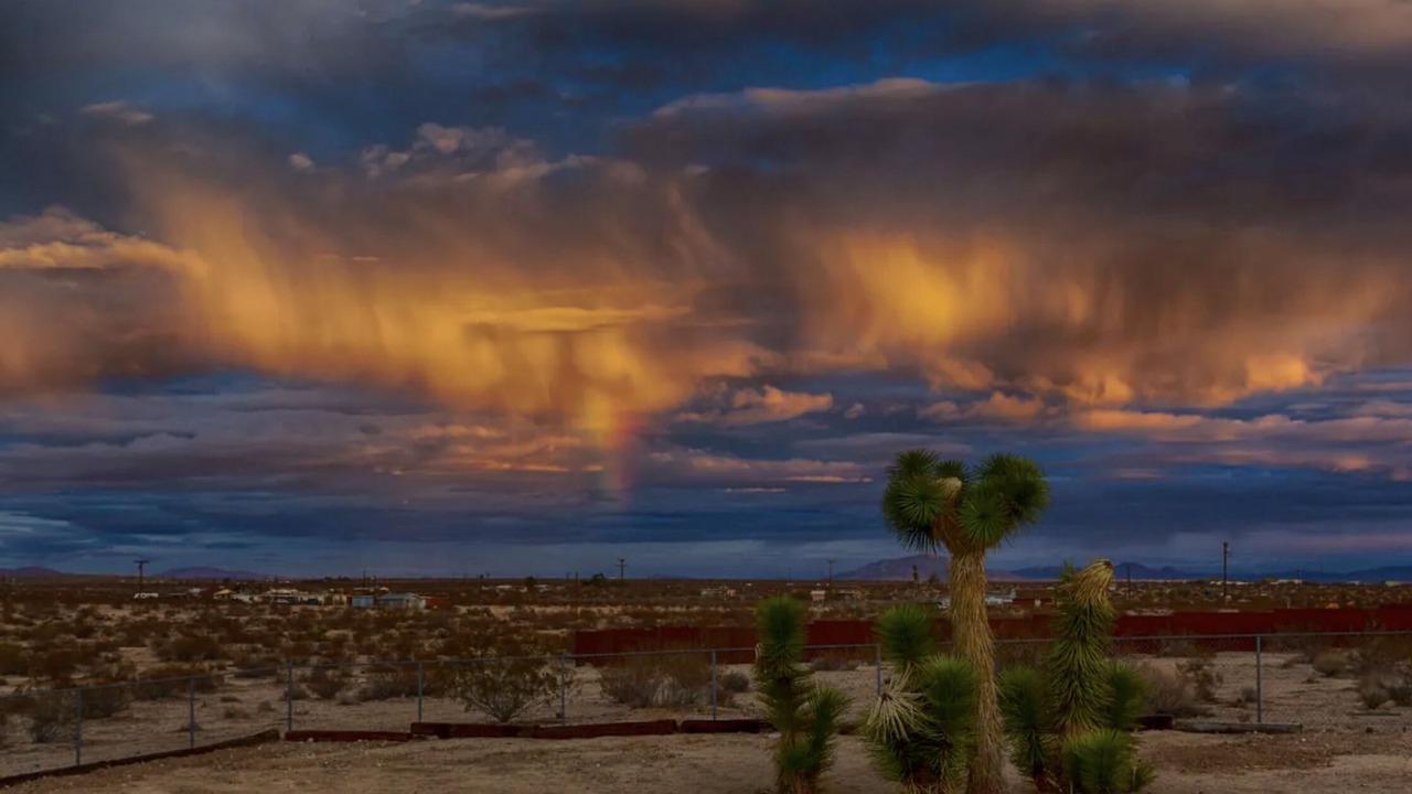 Photo of Others in Joshua Tree