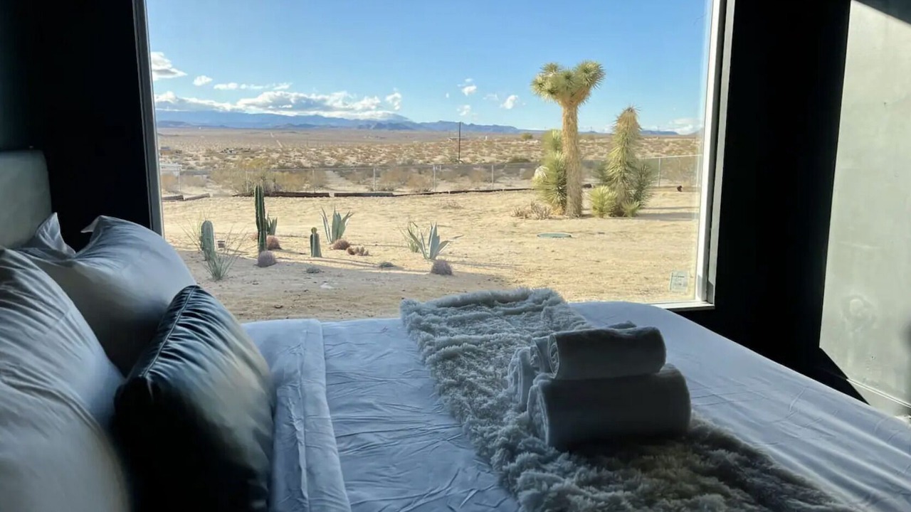 Photo of Others in Joshua Tree