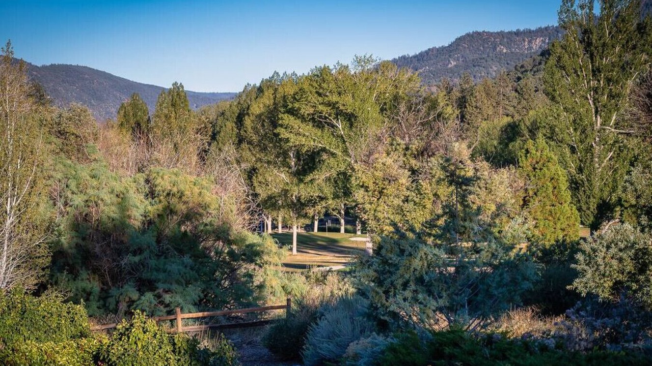 Photo of Others in Pine Mountain Club