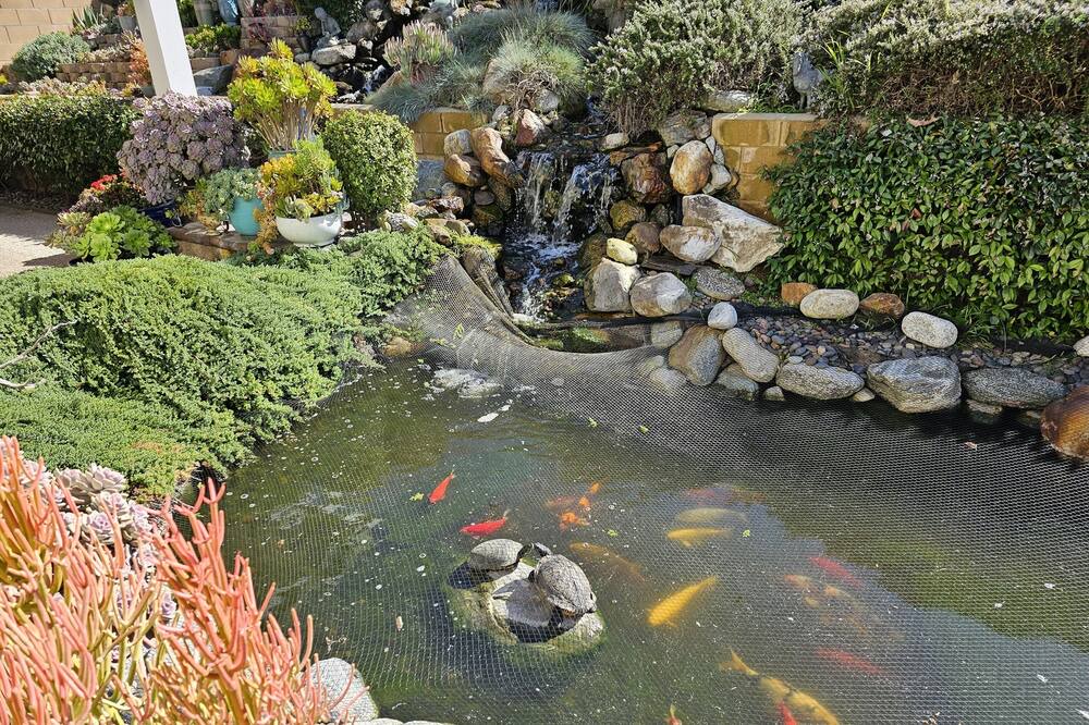 Photo of Outdoor in Bonita