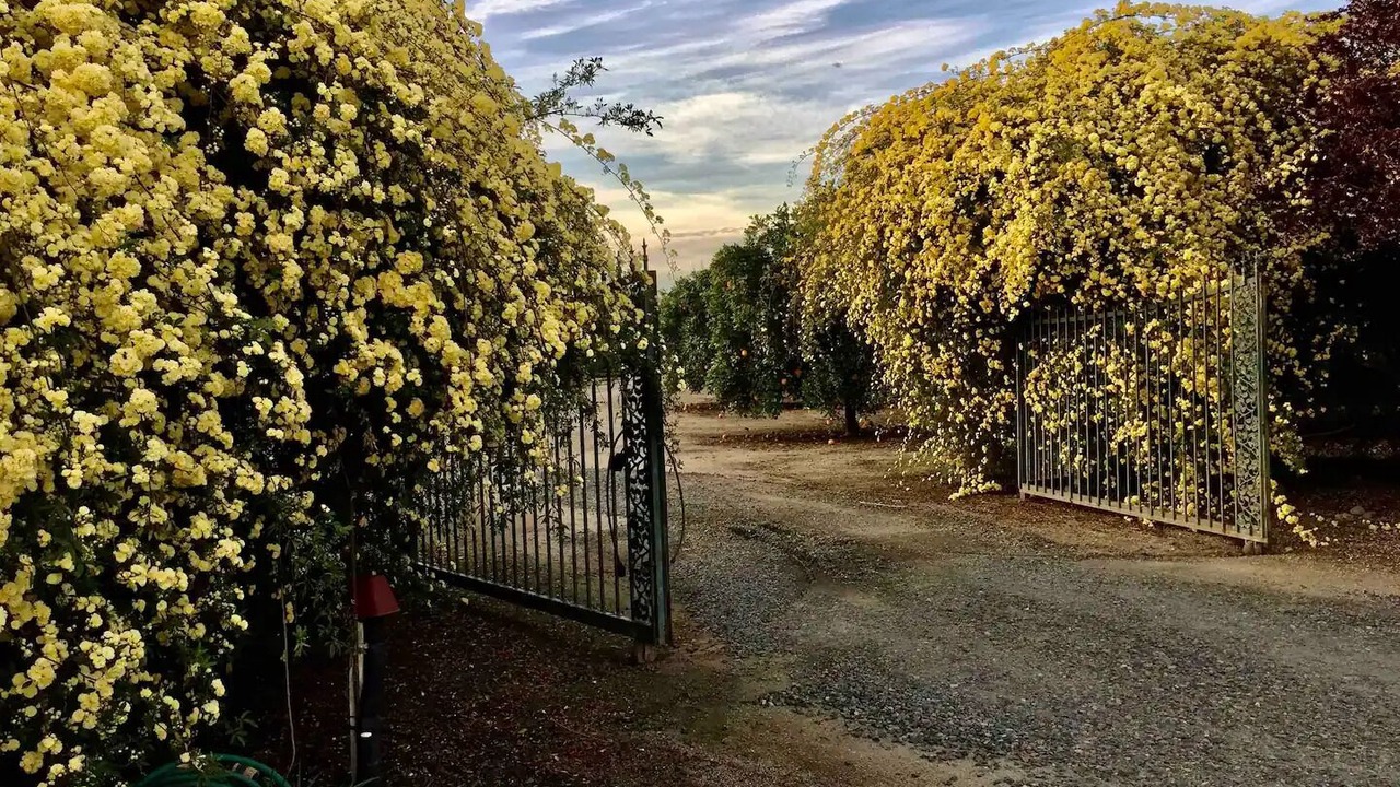 Photo of Outdoor in Porterville