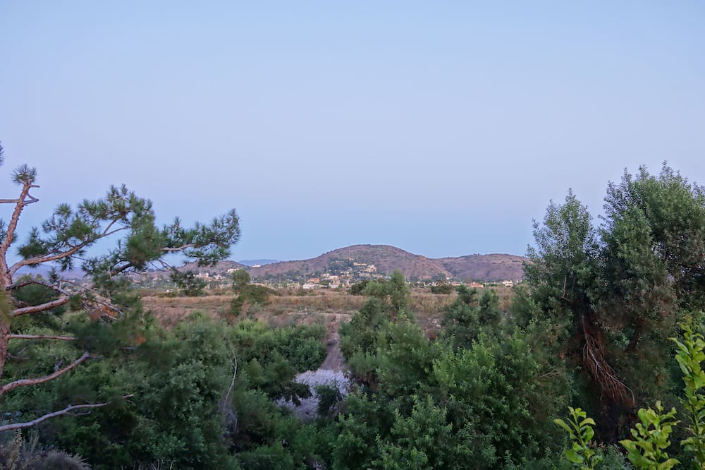 Photo of Outdoor in Orange