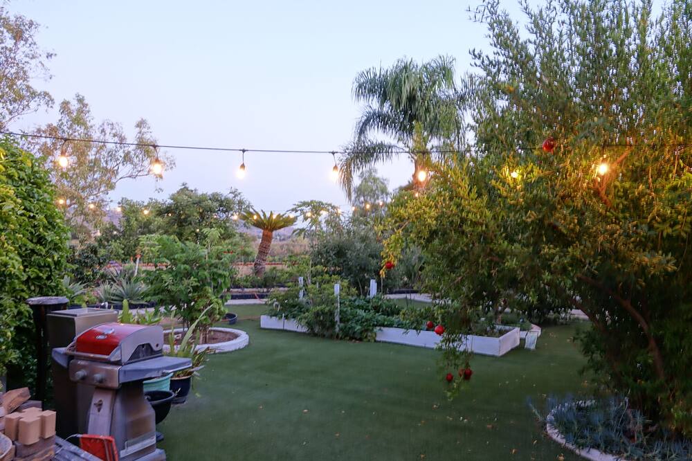 Photo of Outdoor in Orange