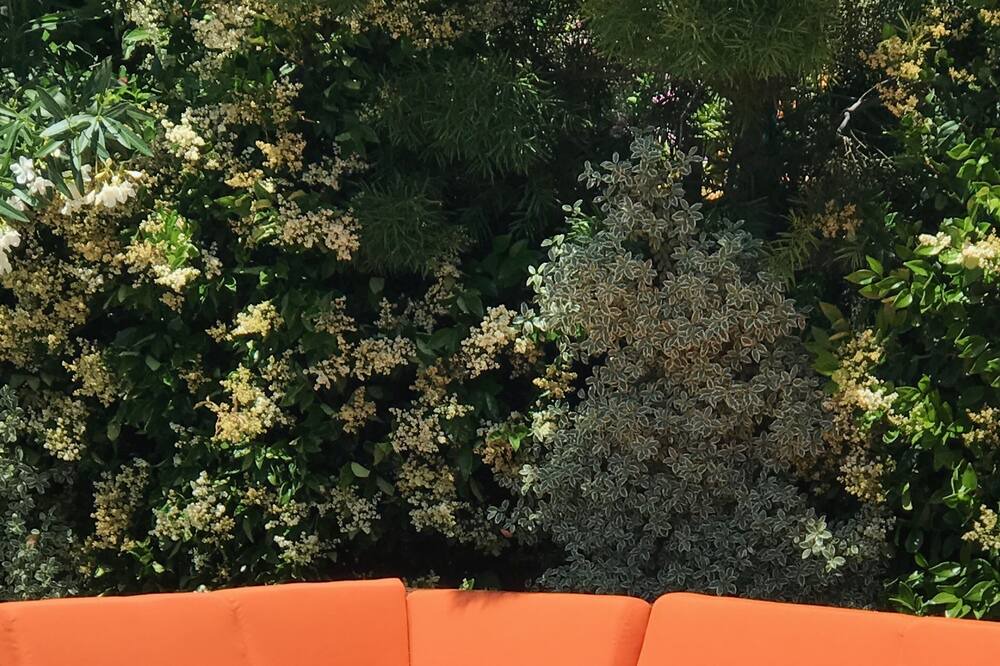 Photo of Outdoor in Novato