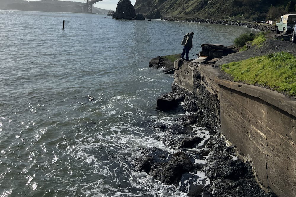 Photo of Others in Novato