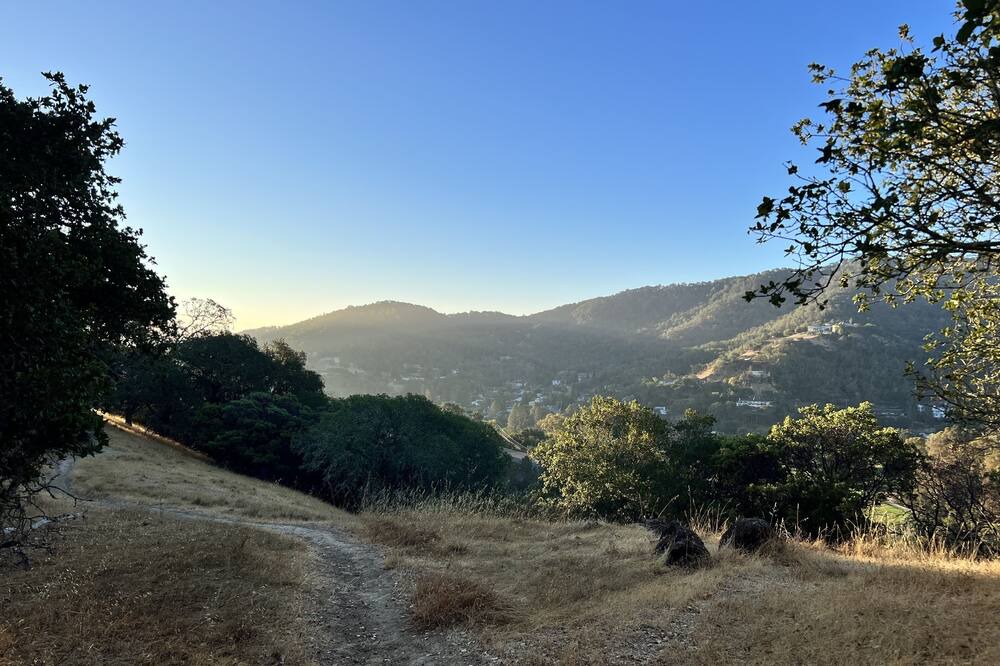 Photo of Outdoor in Novato