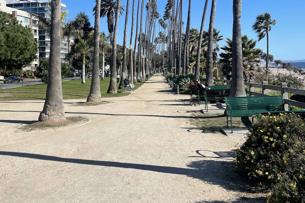 Photo of Others in Downtown