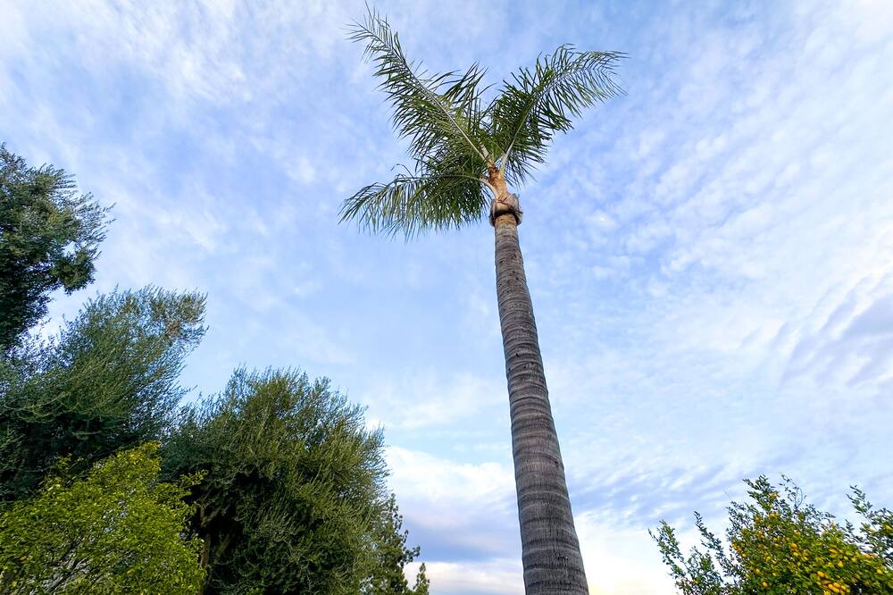 Photo of Outdoor in Rancho Cucamonga