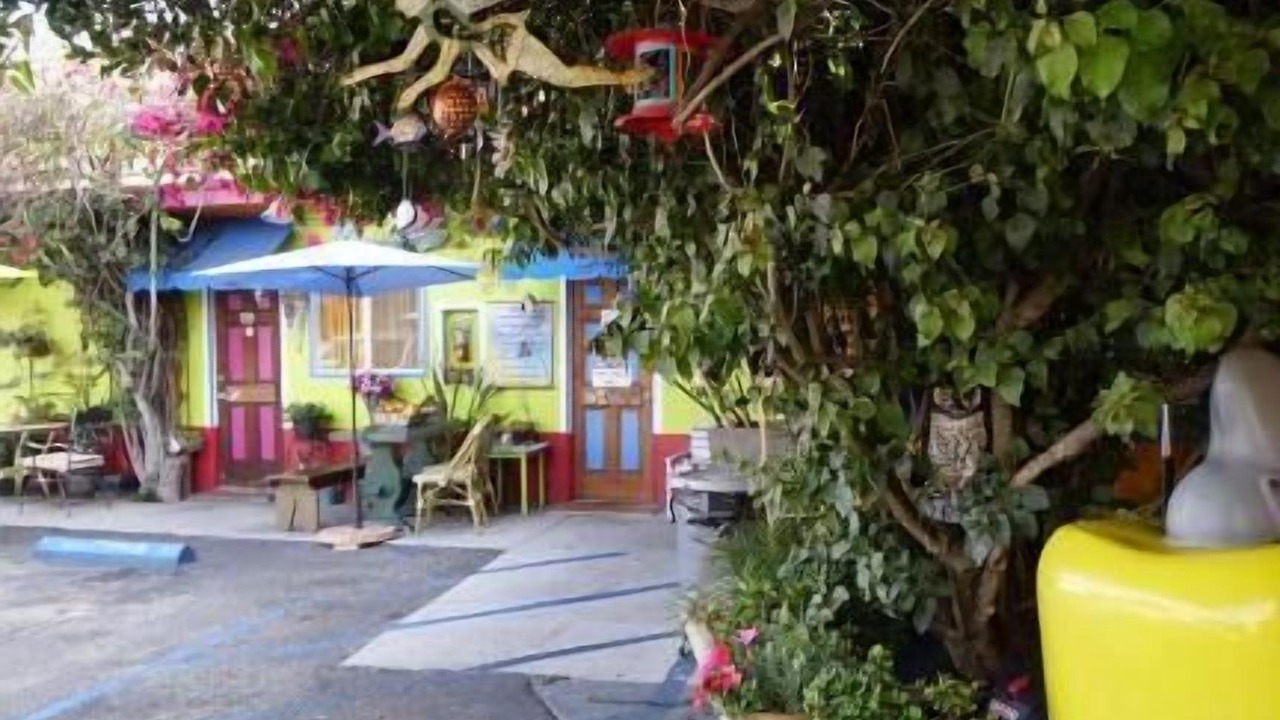 Photo of Outdoor in Del Rey