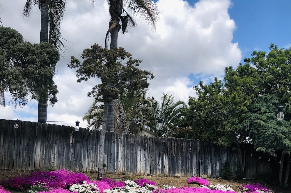 Photo of Outdoor in Santee
